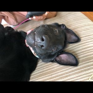 Meet your Posher, Haley